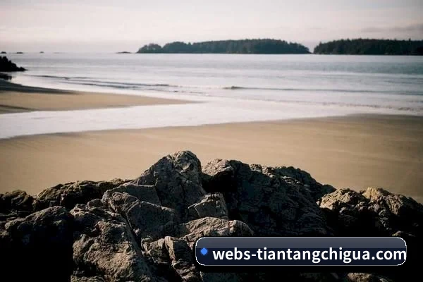吃瓜阵地建立